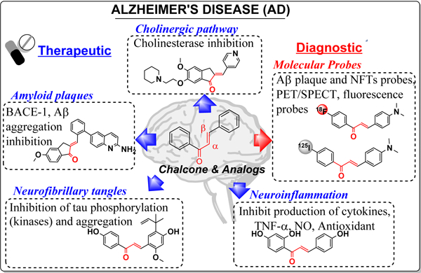 graphic file with name nihms-1668140-f0001.jpg