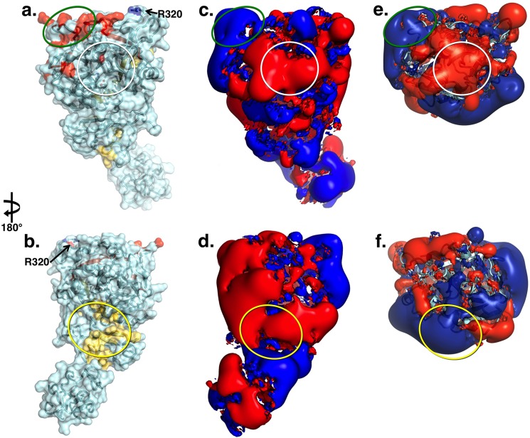 FIGURE 4.