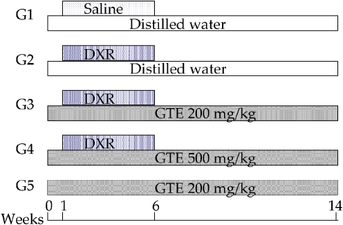 Fig. 1