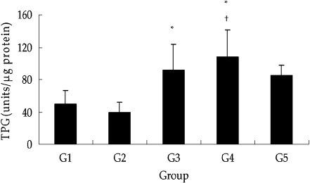 Fig. 8