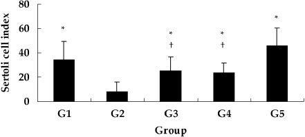 Fig. 7