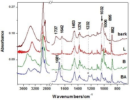 Figure 4 