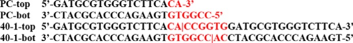 Sequences 1–4