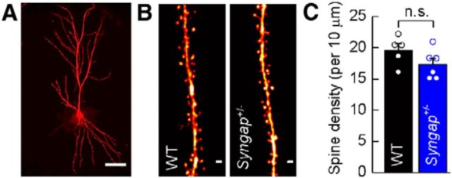 Figure 5.