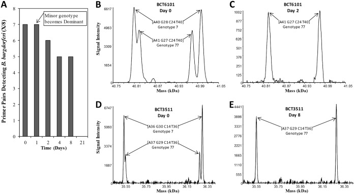 FIG 3