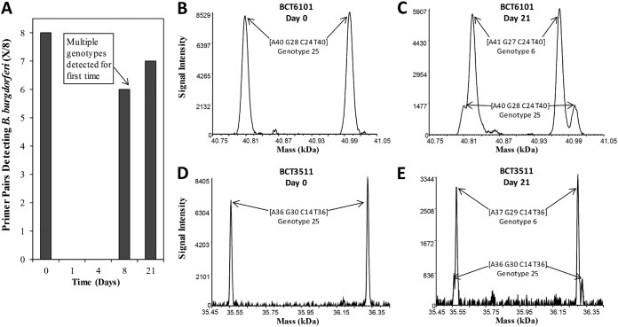 FIG 1