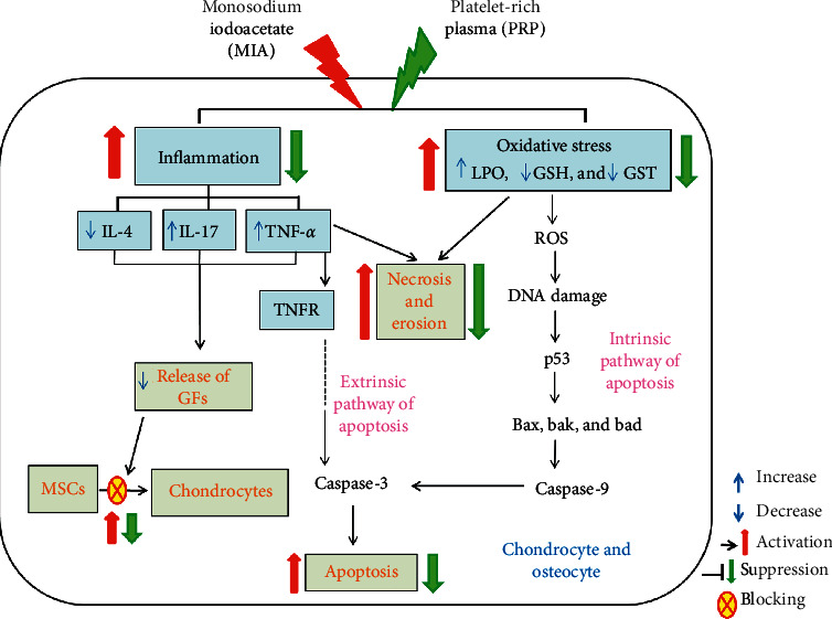 Figure 13