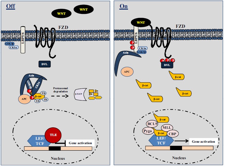 Fig. (3)