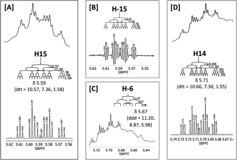 Fig. 27