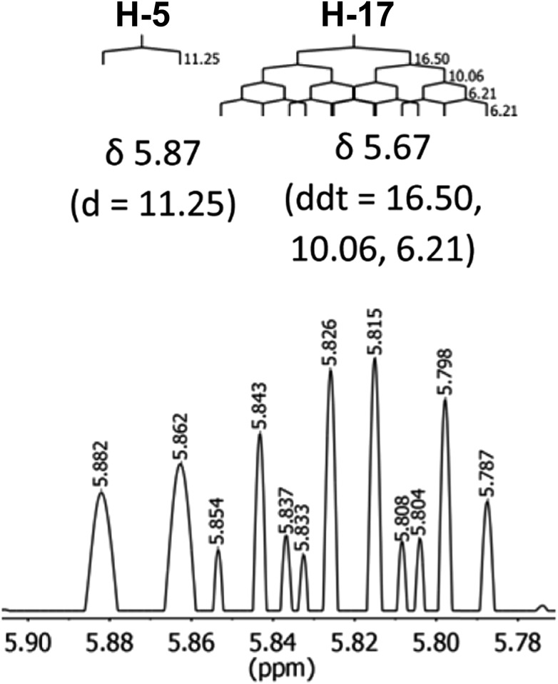 Fig. 29