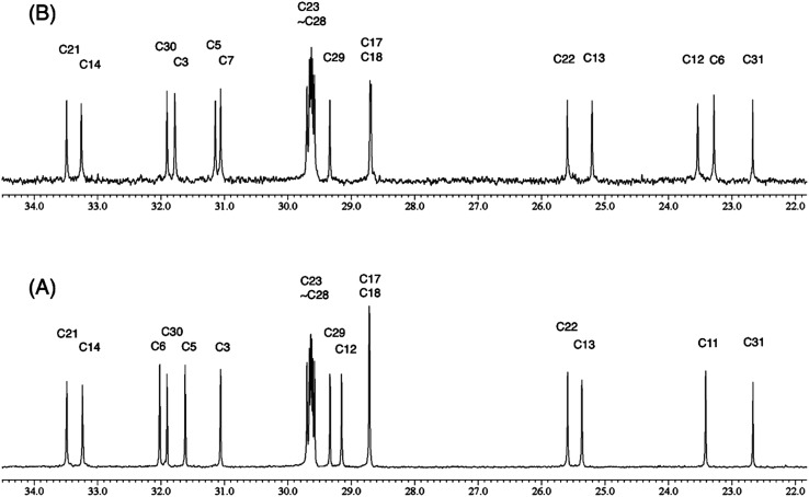Fig. 10