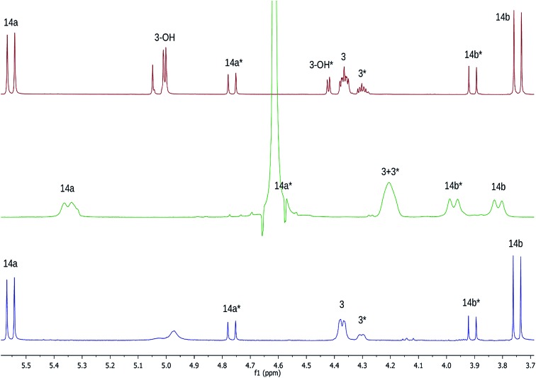 Fig. 19