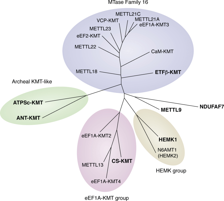 Figure 3