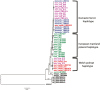 Fig. 2.