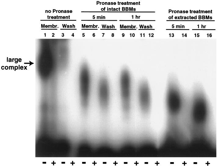 FIG. 7