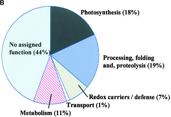 Figure 10.