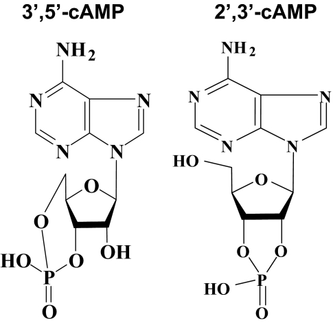 Fig. 10.