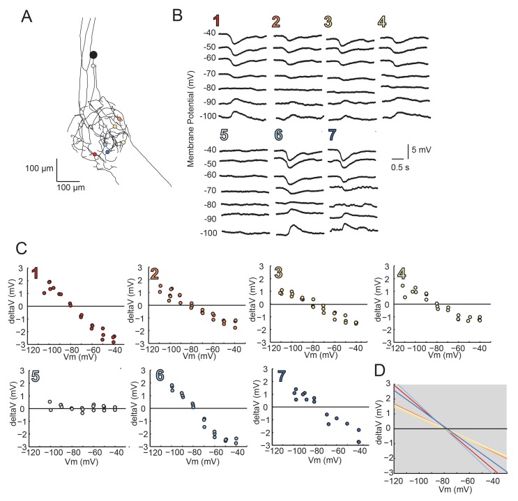 Figure 8—figure supplement 1.