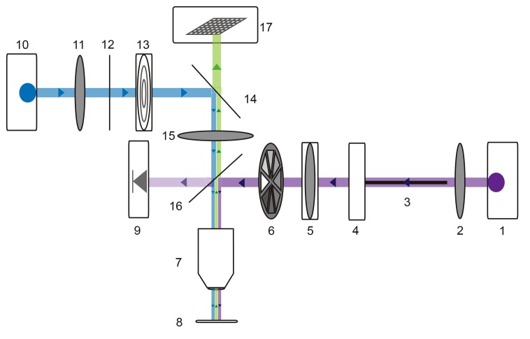 Figure 10.