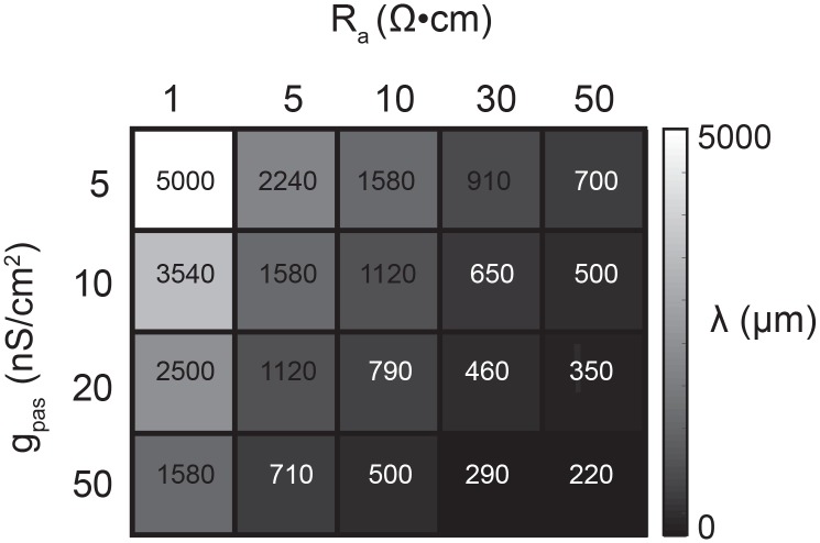 Figure 11.