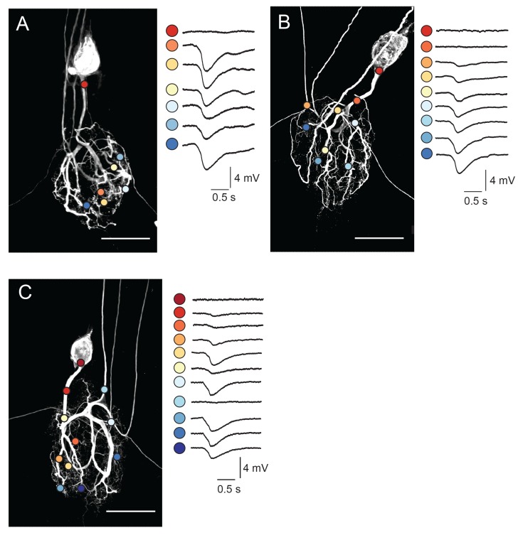 Figure 4.