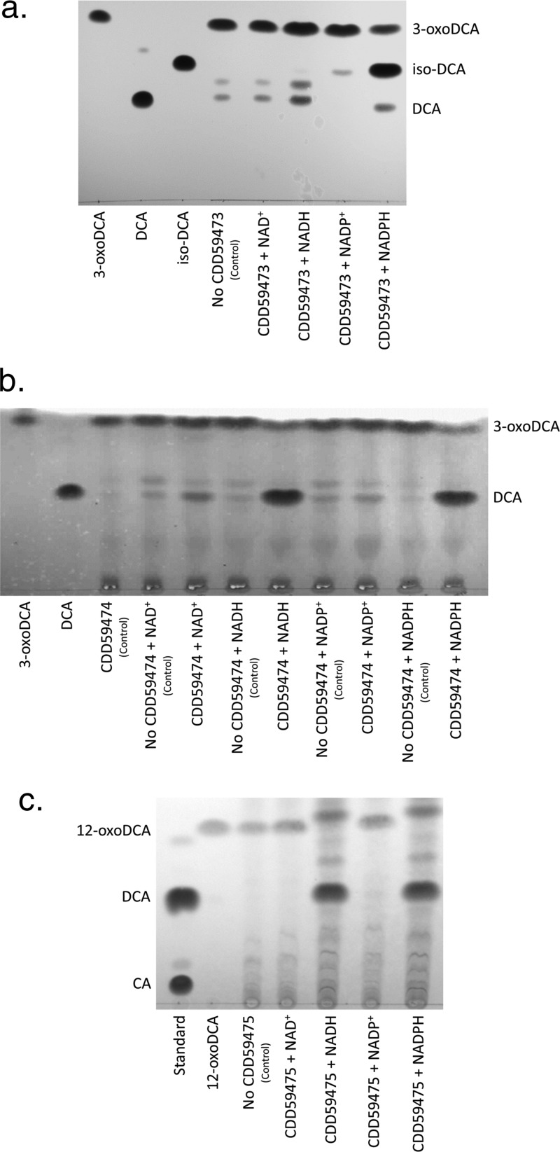 FIG 2