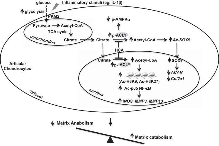 Figure 9.