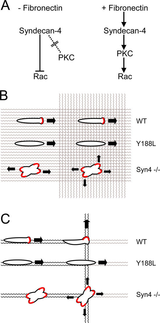 Figure 9. 