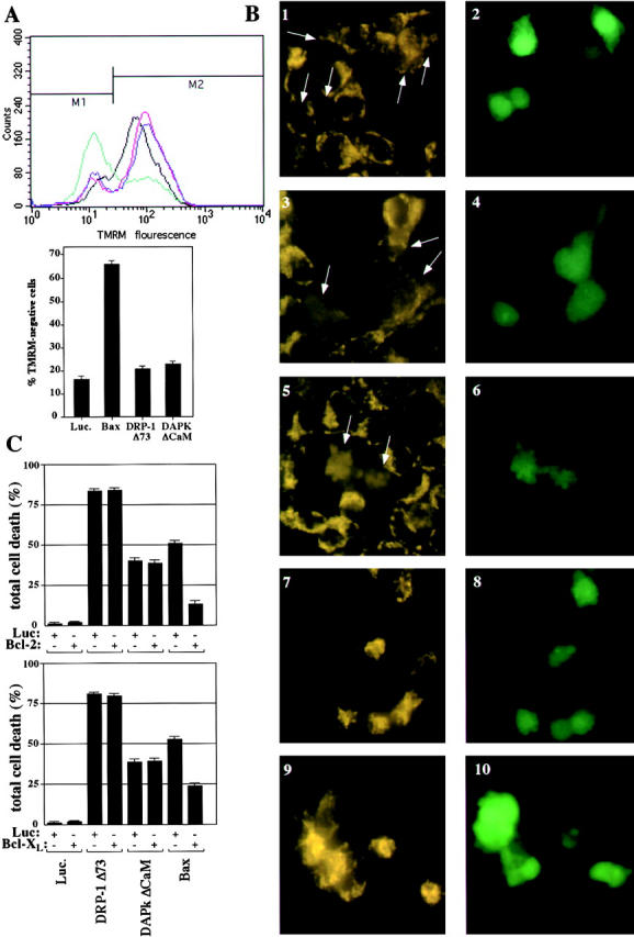 Figure 2.