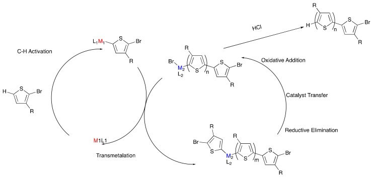 Scheme 3