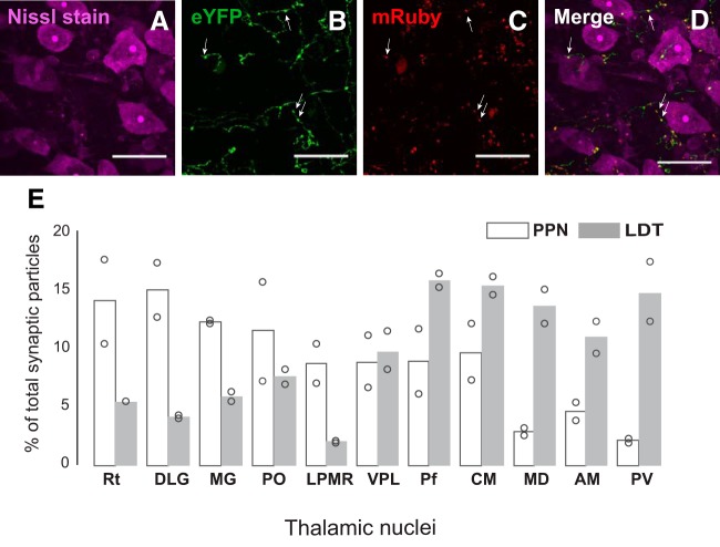 Figure 4.