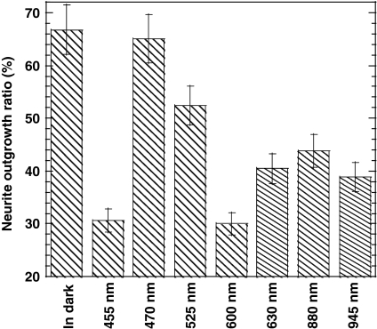 Fig. 2