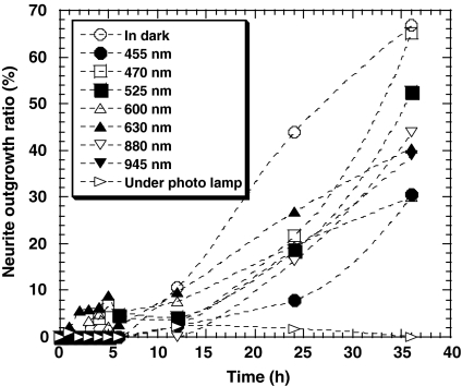 Fig. 1