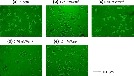 Fig. 3