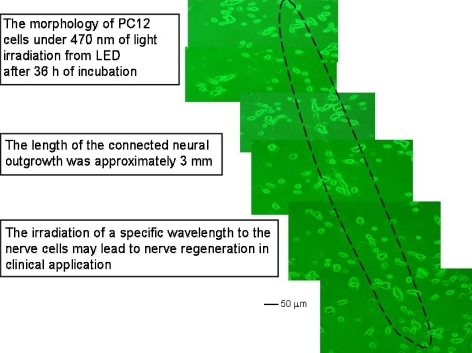 Fig. 5