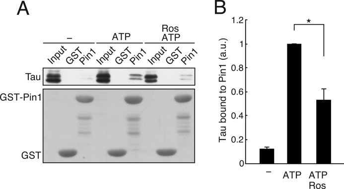 FIGURE 1.