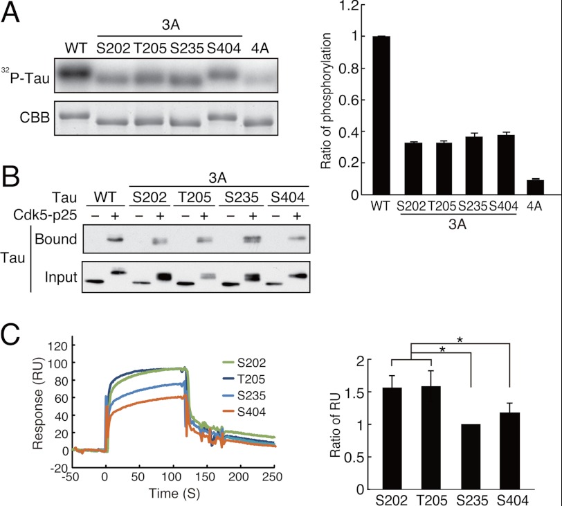 FIGURE 4.