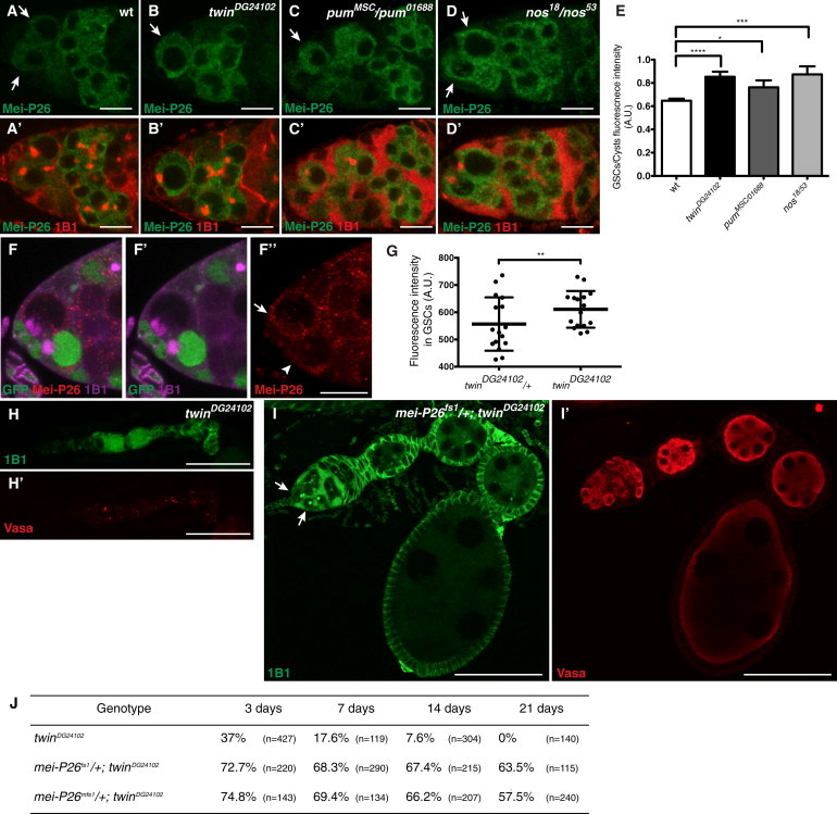 Figure 6