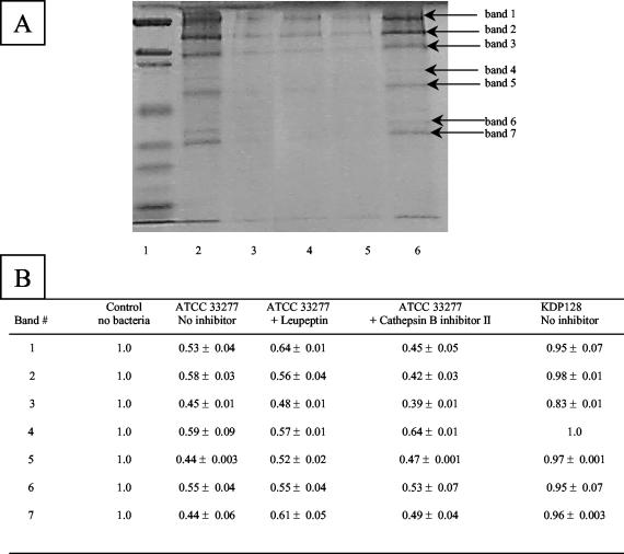 FIG. 5.