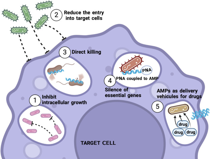 Figure 1