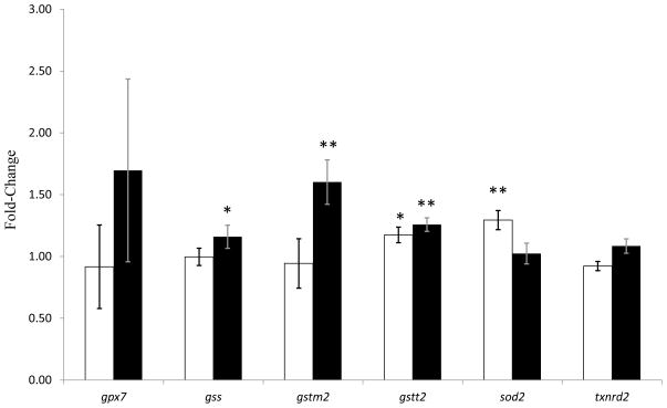 Fig 5