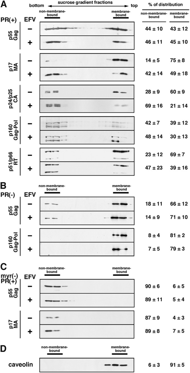 Fig 5