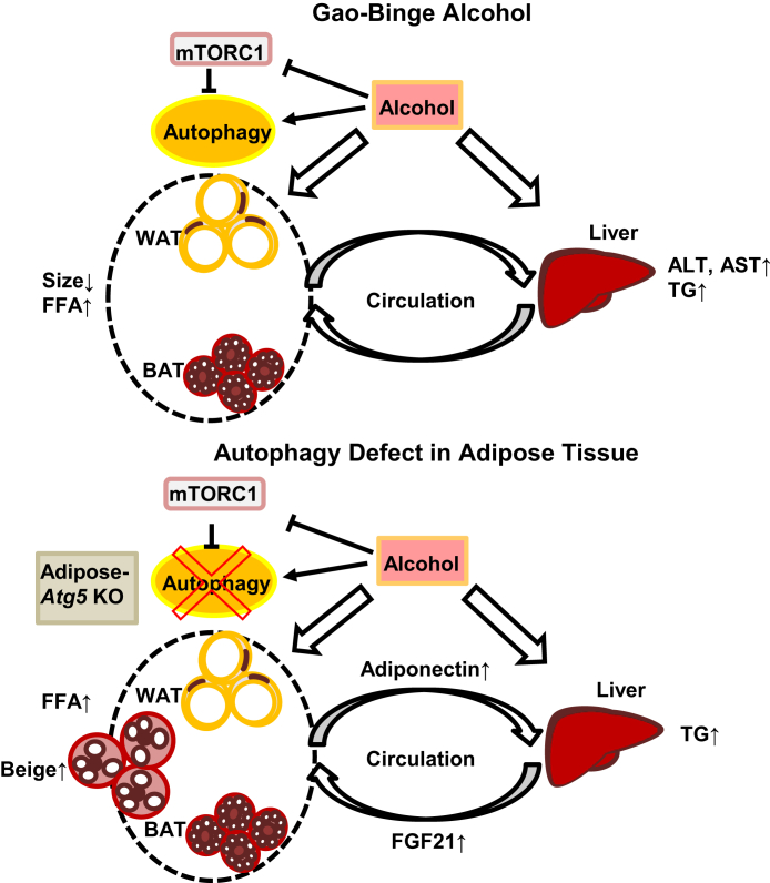 Figure 10