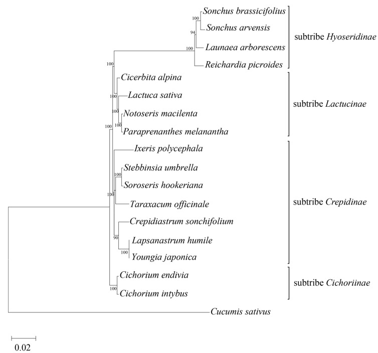 Figure 2