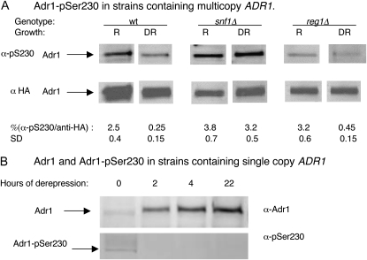 Figure 2.—