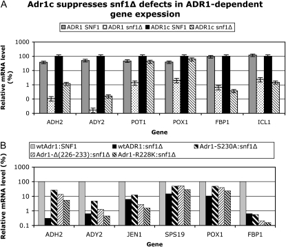 Figure 3.—