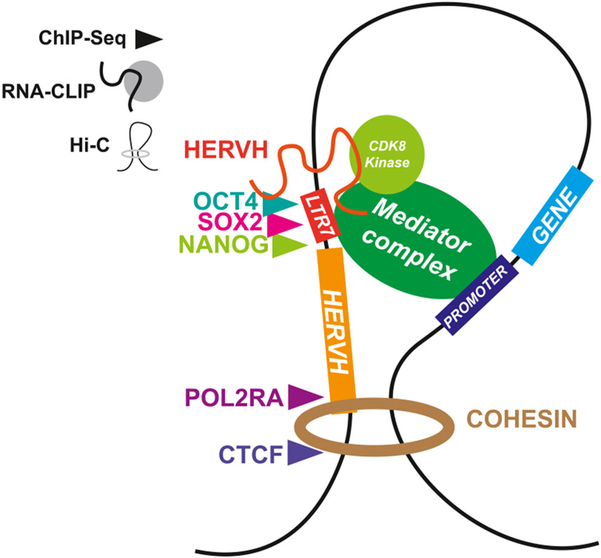 Figure 1.