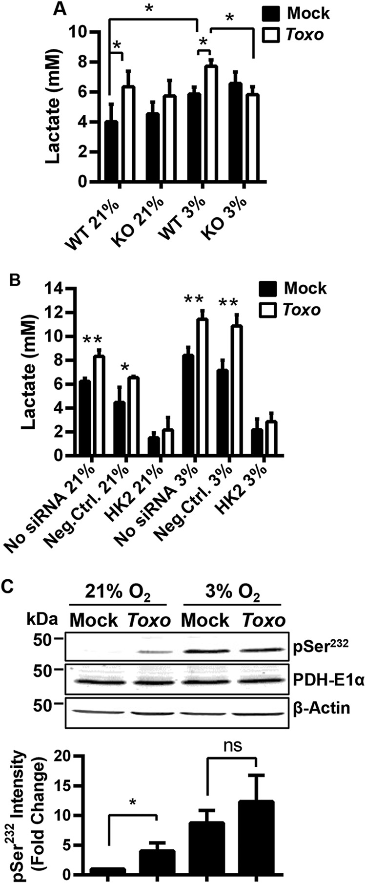 FIG 4 