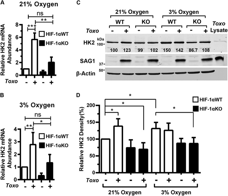 FIG 2 