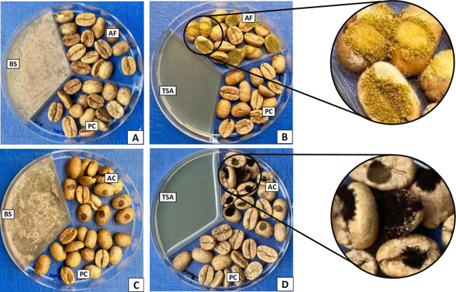 Fig 4